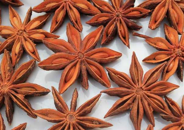 我國的八角的產(chǎn)地分布情況 八角種植管理方法