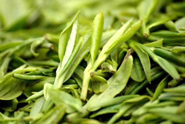 龍井茶的功效