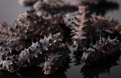 如何選購干海參？干海參的發(fā)泡方法