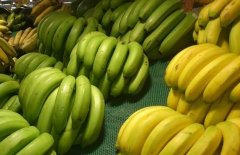香蕉不能和什么一起吃？