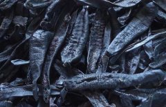 什么是清水貨水蛭，什么是礬水貨水蛭？