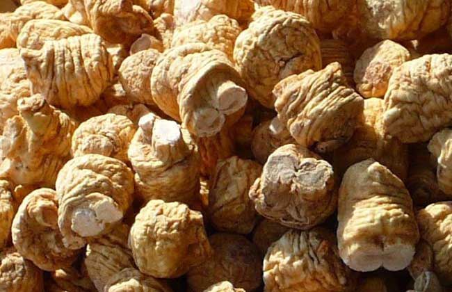 西洋參的副作用 中藥材的功效與作用