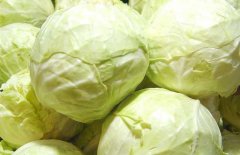 卷心菜能減肥嗎？