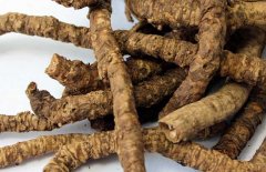 黃連、黃芩、黃柏的區(qū)別