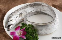 帶魚的產(chǎn)地、分布生活習(xí)性與品種分類