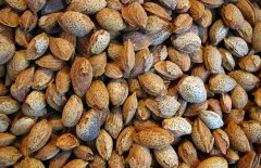 杏仁的做法大全