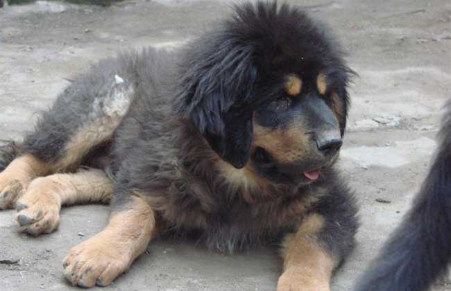 要根據(jù)消費習(xí)慣飼養(yǎng)