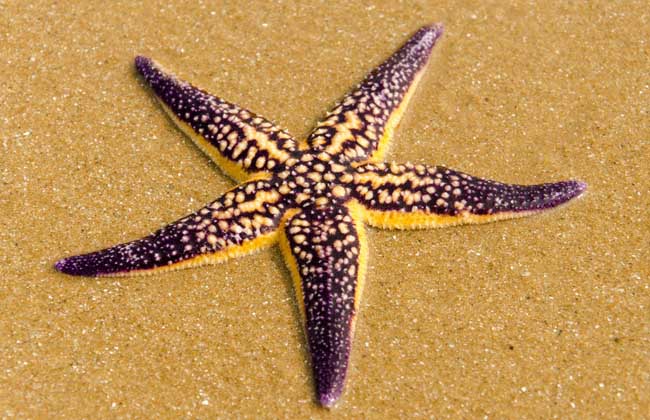 水產品養(yǎng)殖