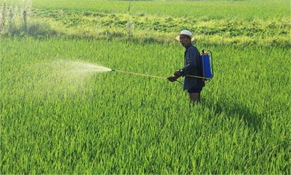 改善施用方法，減少土壤殘留量