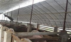 控溫養(yǎng)殖大棚的種類(lèi)和結(jié)構(gòu)怎樣需要哪些設(shè)備