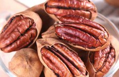 碧根果產(chǎn)地是哪里？碧根果的選購方法簡(jiǎn)介