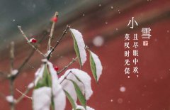 小雪節(jié)氣是什么意思，小雪節(jié)氣吃什么食品？