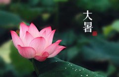 大暑是幾月幾日，大暑的節(jié)日民俗的哪些？