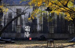 寒露是什么意思，寒露的氣候特征有哪些？