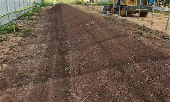 基、追肥分配比例要合理