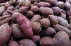 糖尿病人能吃紅薯嗎?