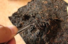 喝普洱茶能減肥嗎？