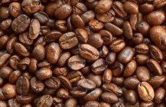 咖啡的故鄉(xiāng)是哪里?