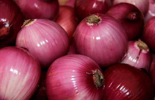 常吃八種食物降血糖快 生活常識(shí)