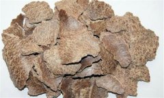 常見(jiàn)的餅肥都有哪些？餅肥快速發(fā)酵的方法