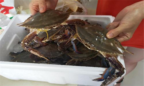 螃蟹屬于海鮮嗎？