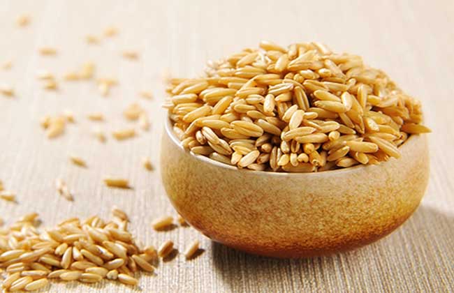 野燕麥的營養(yǎng)價(jià)值