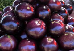 茄子的功效是什么？茄子的功效與作用禁忌