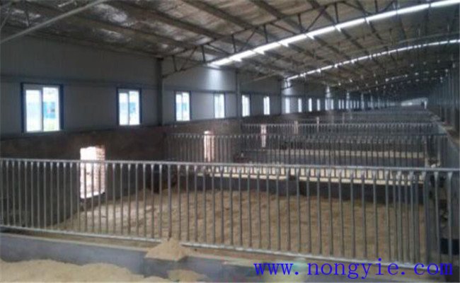 發(fā)酵床養(yǎng)雞墊料不熱是不是沒(méi)有正常發(fā)酵