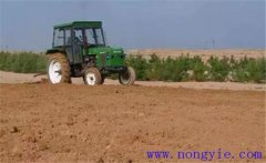 種植甘草怎么能夠高產？甘草高效栽培技術