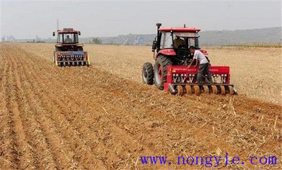 小麥種植技術(shù)與管理、施肥