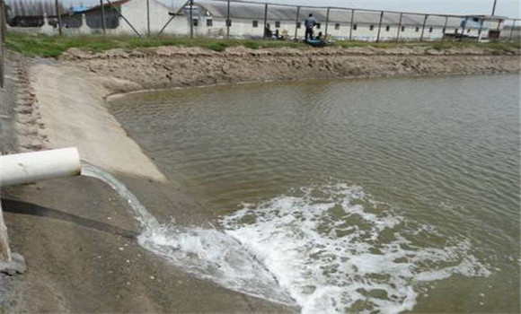 養(yǎng)魚(yú)水質(zhì)不好怎么辦