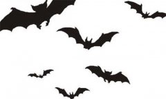 蝙蝠是胎生還是卵生，蝙蝠是胎生動(dòng)物嗎？