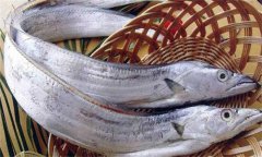 帶魚發(fā)黃能吃嗎？帶魚表面發(fā)黃的原因是什么