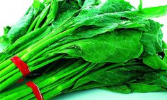 芥藍(lán)是什么菜，有哪些營養(yǎng)和功效