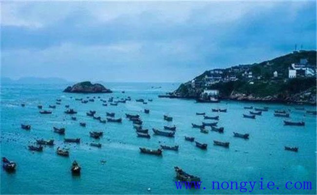 舟山漁場(chǎng)的漁業(yè)資源