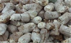 食用菌菌糠的營養(yǎng)成分、用途與再利用前景分析