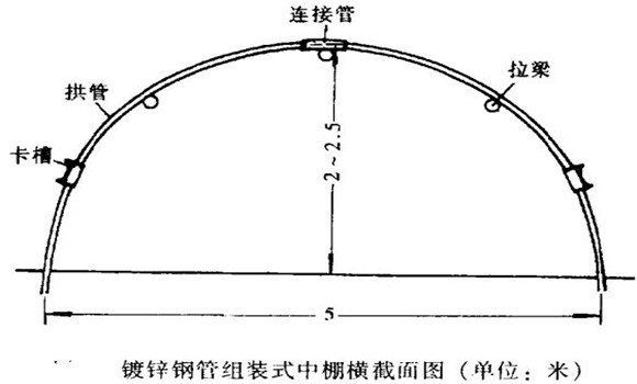 塑料中棚加外覆蓋能明顯使蔬菜早熟，效益高