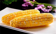 煮玉米需要多長時(shí)間，煮玉米的時(shí)間如何掌握