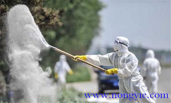 魚(yú)苗放養(yǎng)前用什么消毒