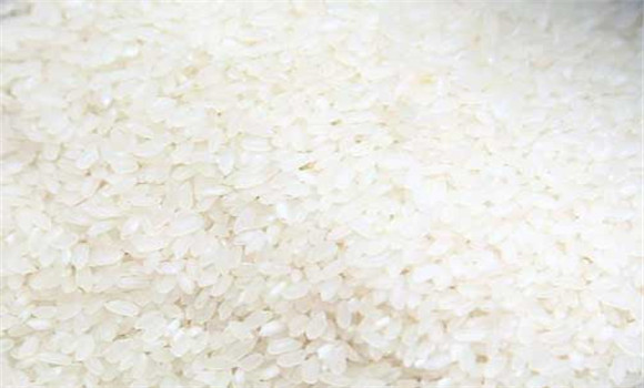 粳米的功效