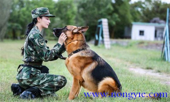 循序漸進(jìn)，由易到難的原則