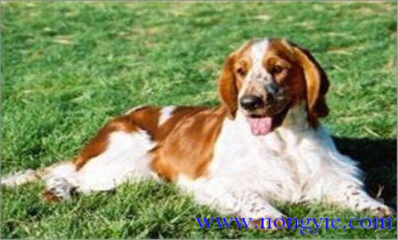 訓練的注意事項