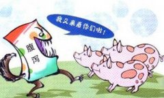 豬流行性腹瀉怎么治療、預(yù)防與防治要點(diǎn)有哪些