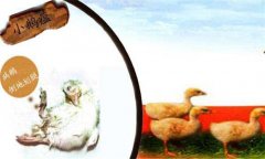 小鵝瘟癥狀有哪些，治療與防治措施簡介