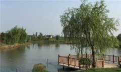 不同魚種塘的投飼、施肥方法是什么？