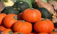 南瓜的種類有多少種、有什么特點(diǎn)