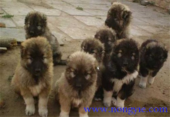 搞好衛(wèi)生，加強消毒