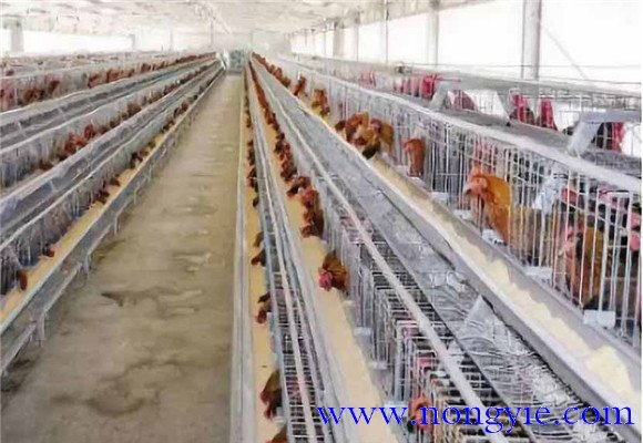 保溫、防暑和通風性能好