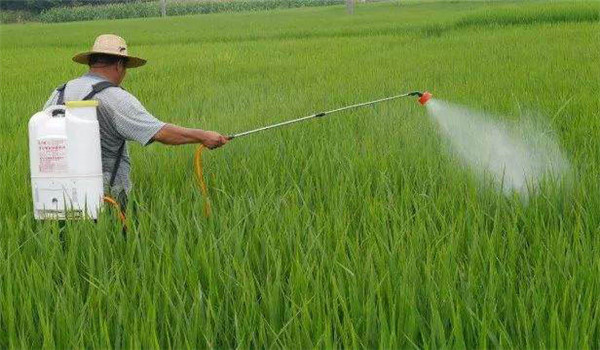 防治病蟲(chóng)害