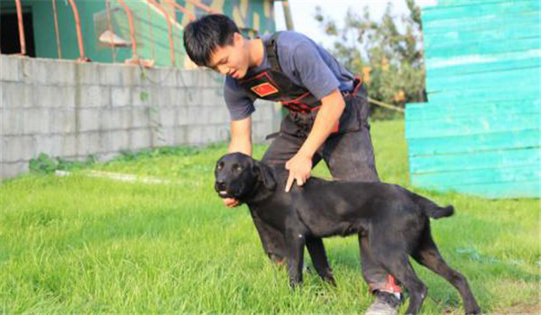 循序漸進(jìn)，由易到難